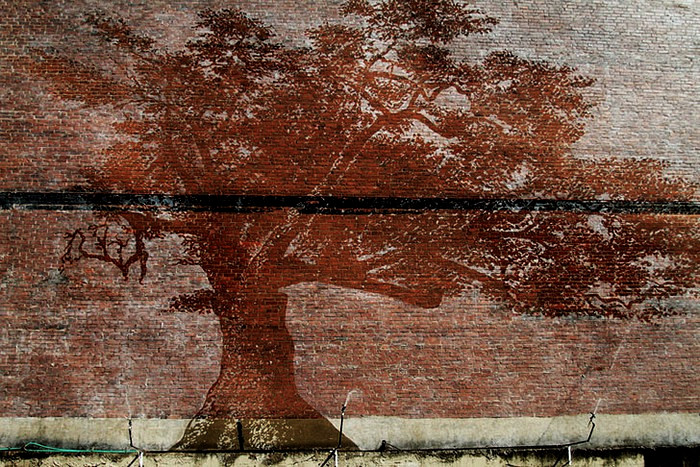 Oak_Tree_Mural_01
