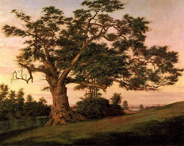 Oak_Tree_Mural_06