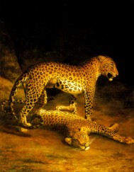 Два леопарда